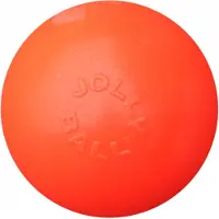 Jolly Pets Bounce-n Play Bold