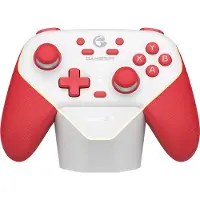 GameSir Switch 2 Super Nova Kontroller