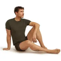 Icebreaker Anatomica Crewe Kortærmet Baselayer
