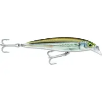 Rapala X-rap Saltwater Minnow 22g 120 Mm