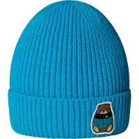 The North Face - Huer/halsedisser børn - Kids TNF Logo Box Cuffed Beanie Meridian Blue Nuptse Bear Patch til Unisex - Blå