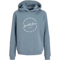 Jack & Jones Grayson Hættetrøje