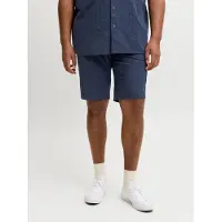 Jack&Jones PLUS Plus Size Relaxed Fit Casual Shorts