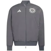 Adidas Sportsjakke 'Mercedes-Amg Petronas Formula 1 Team' grafit / lysegrå / hvid
