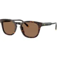 Ralph Lauren Solbriller '0PH4242U' blå / choko / cognac / grøn