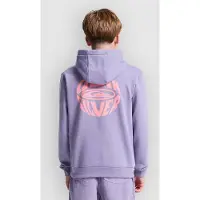 Quiksilver Globe Sweatshirt Med Lynlås