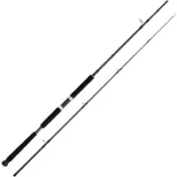 Shimano Fishing Vengeance Ax Pilk Jigging Stang