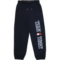 Tommy Hilfiger Bukser 'TEAM' navy / himmelblå / rød / hvid
