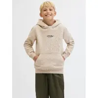 Jack & jones Soho Hættetrøje