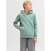 Jack & jones Junior Sweatshirt himmelblå