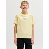 Jack & Jones Junior Shirts lyseblå / gul / grøn / orange