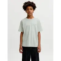 Jack & Jones Junior Shirts siv / pastelgrøn / hvid