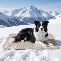OIMG (Gray, Medium) Hund kølemåtte – selvkølende pude til kæledyr, bærbar vaskbar x-small