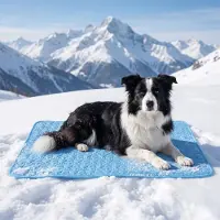 OIMG (Blue, Large) Hund kølemåtte – selvkølende pude til kæledyr, bærbar vaskbar x-small