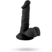 Vuxen Mr. Rude Realistic Penis Black 16,5 cm