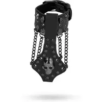 Shots Ouch! Skulls and Bones - Armband med Dødningehoveder & Kæder