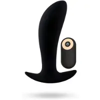 Toyz4Lovers Secret Lover Anal Vibrator