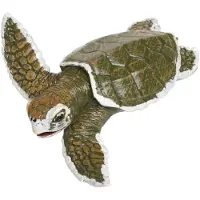 Safari Ltd. Kemp's Ridley Sea Turtle babyfigur - naturtro 5" modelfigur - p?dagogisk leget?j til drenge, piger og b?rn i alderen 18M+