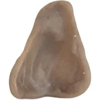 Pet Qwerks Pigs Ear Barkbone - Nylon Dog Bone For Aggressive Chewers - Bacon Flavor - 4.5 "