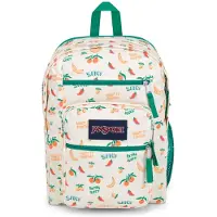 JanSport bærbar rygsæk - computerpose med 2 rum ergonomiske skulderstropper 15 bærbare ærme trækhåndtag - fem om dagen fløde