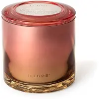 Illume smukt udf?rt essentials Coconut Milk Mango Erkl?ring Glas duftende soja stearinlys