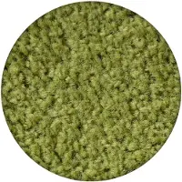 Rugsx TÆPPER hjul ETON grønt cirkel 100 cm