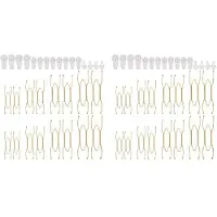 Melitt 32x Plate Hangers for the Wall 6 8 10 12 Inch,Wall Plate Hangers Decorative Plate Hangers Invisible Wall Plate Holders