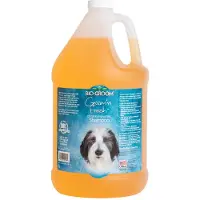 Bio Groom Bio -Groom Groom'n Fresh Dog Shampoo - Lugt Fjernelse