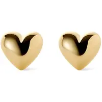Luisa Vannini Ana Luisa Gold Lev Heart Stud Earring - 14K Goldbelagte hjerte?reringe til kvinder - Hypoallergenisk vandafvisende pletfri stud?reringe - Titaniu