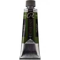 Rembrandt Oil Color Tube 150 ml SAP Green 623 (01076232)