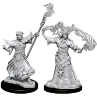 WizKids Pathfinder Deep Cuts Unparted Miniatures: Wave 11: Mand Human Sorcerer