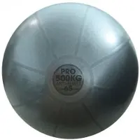 Fitness-Mad Studio Pro Grå Udstyr Gymnastikbold Træningsbold 500 kg Swiss Ball Kun 65 cm