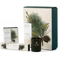 Pure Living Douglas Pine - Gift Set (Votive 20hrs)