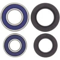 All Balls Alle kugler, der k?rer 25-1044 hjulb?rende kit, der er kompatibelt med/udskiftning til Yamaha YFB250 Timberwolf 1995-1998 YFM 250 Raptor 2008-201