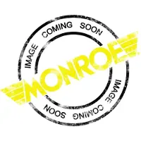 Monroe /Expert Series Rs999272 Auto Del