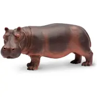 Safari Ltd. Hippopotamus figur - realistisk 5,5" flodhest figur - p?dagogisk leget?j til drenge, piger og b?rn i alderen 3+