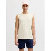 Jack & Jones Bluser & t-shirts 'JORHyeres' uldhvid