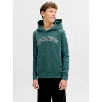 Jack & jones Junior Sweatshirt 'JJECaleb' gran / sort / hvid