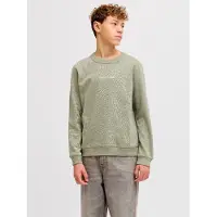 Jack & jones Junior Sweatshirt pastelgrøn / hvid