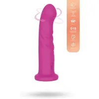 Vuxen Playhouse Rotating Vibrator