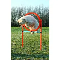 Trixie Hulahopring Til Smidighed