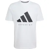 Adidas Juventus Turin Dna Graphic T-shirt Med Korte ærmer