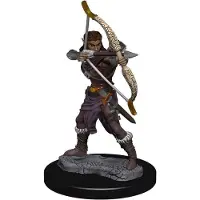 WizKids WZK93011 Dungeons & Dragons - Icons of the Realms - Premium Female Elf Ranger Miniatures