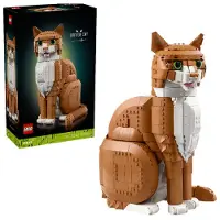 LEGO Orange kat 21376