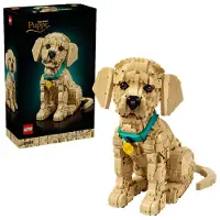 LEGO Icons - Golden Retriever-hvalp 11384 - 2102 Dele - - OneSize - Klodser