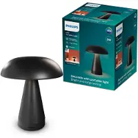 Philips Mycena DSK215 2W 30-65K B USB