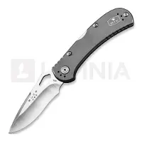 Buck SpitFire Lockback
