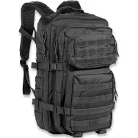 Red Rock Outdoor Gear Large Assault Pack, sort