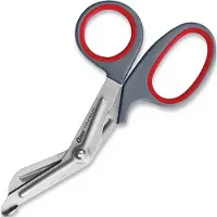 Clauss Professional Snips