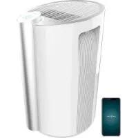 Cecotec Affugtere Bigdry 9000 45 L 320 W